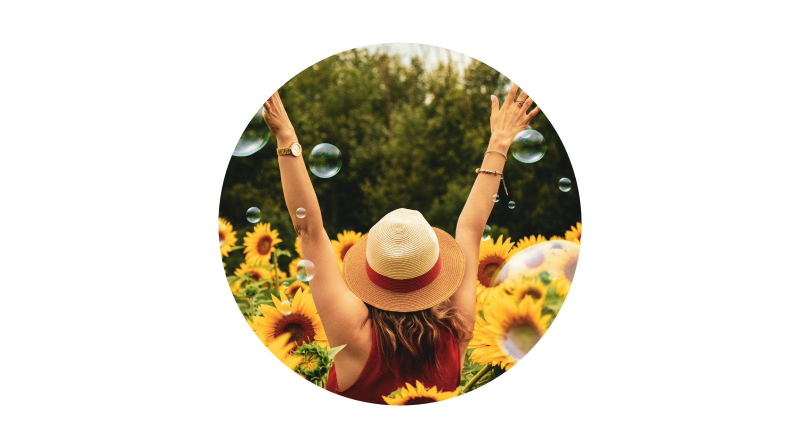 Person celebrating freedom in sunflower field