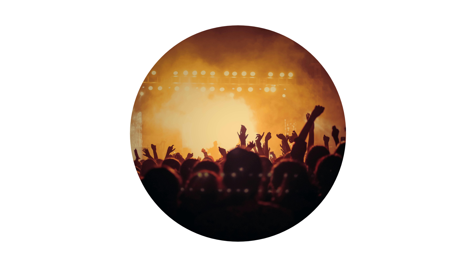 Concert crowd enjoying music and shared experiences